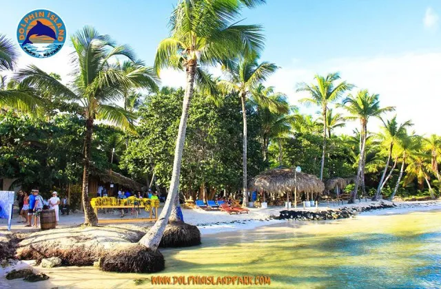 Dolphin Island Park Dominican Republic